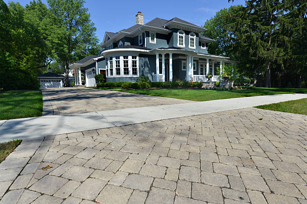 Best Driveway Paving Contractor  in Bagley, MN